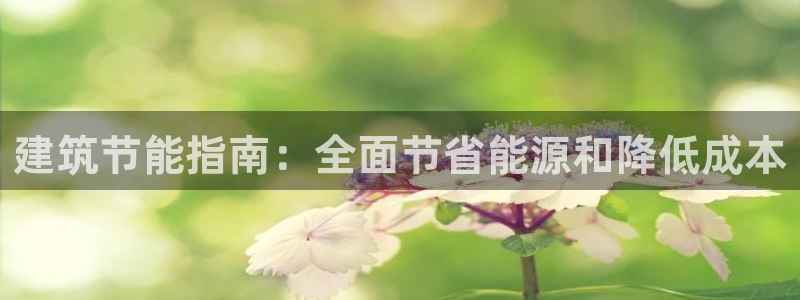 e尊国际官网：建筑节能指南：全面节省能源和降低成本