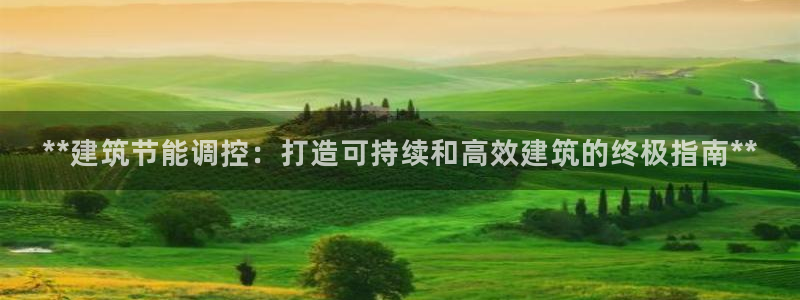 E尊国际：**建筑节能调控：打造可持续和高效建筑的终极指南**