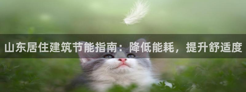 e尊体育：山东居住建筑节能指南：降低能耗，提升舒适度