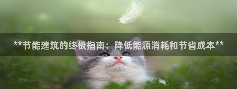 谁知道e尊国际的网址：**节能建筑的终极指南：降低能源消耗和节省成本**