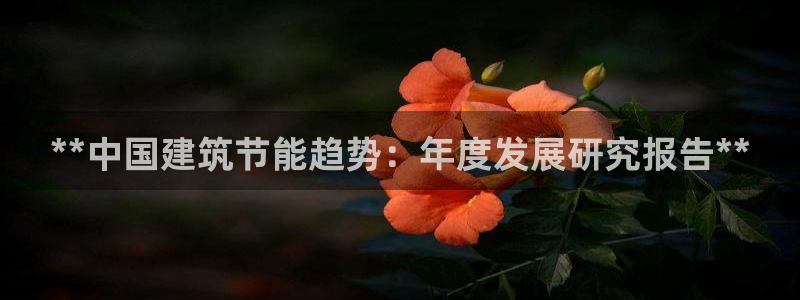 e尊国际app：**中国建筑节能趋势：年度发展研究报告**