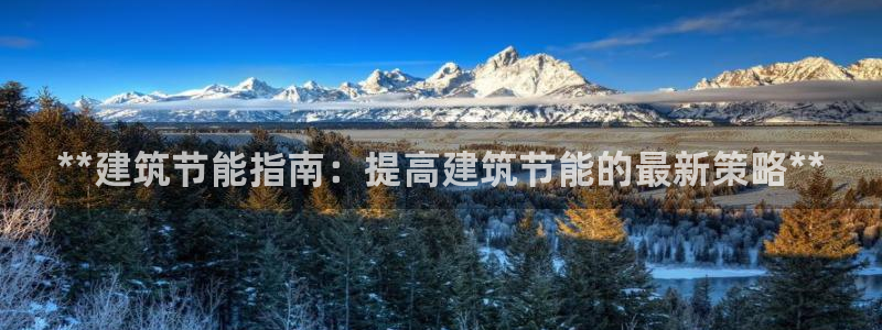 e尊官网：**建筑节能指南：提高建筑节能的最新策略**