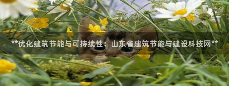 e尊国际7779