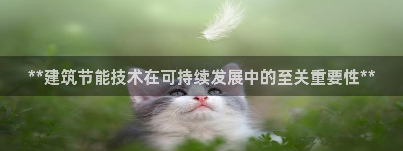 尊亿游戏国际官网：**建筑节能技术在可持续发展中的至关重要性**
