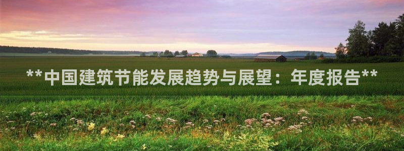 e尊国际-e尊国际官网：**中国建筑节能发展趋势与展望：年度报告**