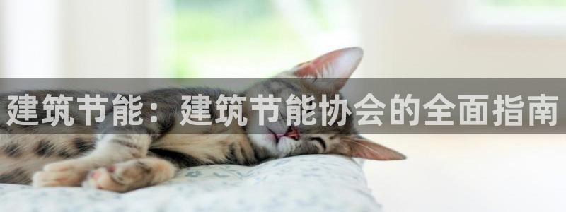 e尊国际-e尊国际官网：建筑节能：建筑节能协会的全面指南