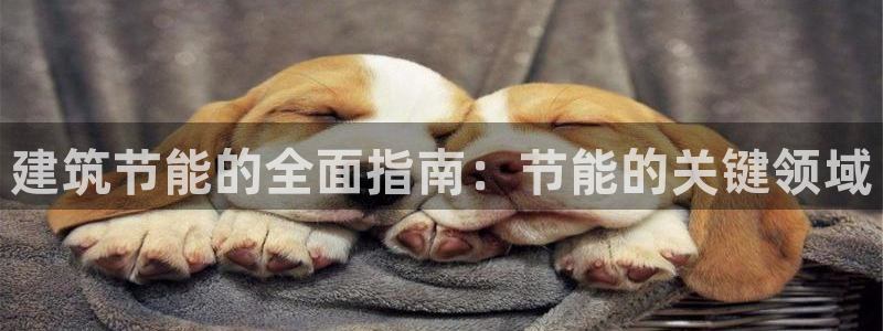 e尊国际客服：建筑节能的全面指南：节能的关键领域
