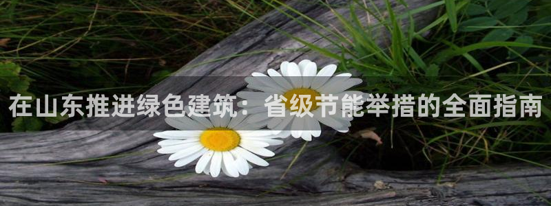 e尊体育：在山东推进绿色建筑：省级节能举措的全面指南