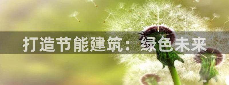 e尊国际官网·网址：打造节能建筑：绿色未来