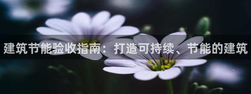 e尊国际地址：建筑节能验收指南：打造可持续、节能的建筑