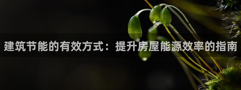 e尊国际客户端：建筑节能的有效方式：提升房屋能源效率的指南
