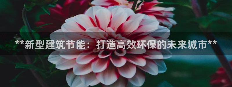 e尊国际-e尊国际官网：**新型建筑节能：打造高效环保的未来城市**