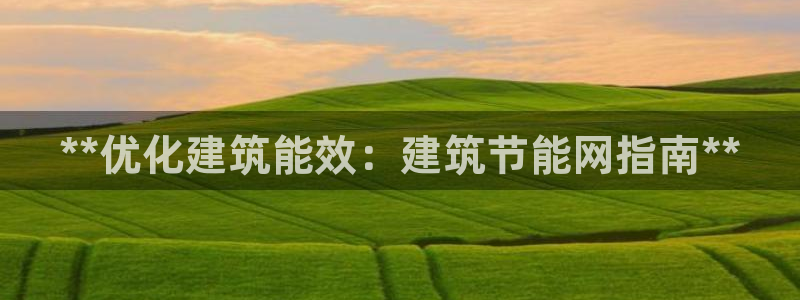 e尊国际官网：**优化建筑能效：建筑节能网指南**