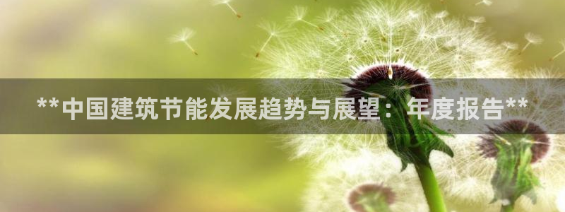 e尊国际-可可计划：**中国建筑节能发展趋势与展望：年度报告**