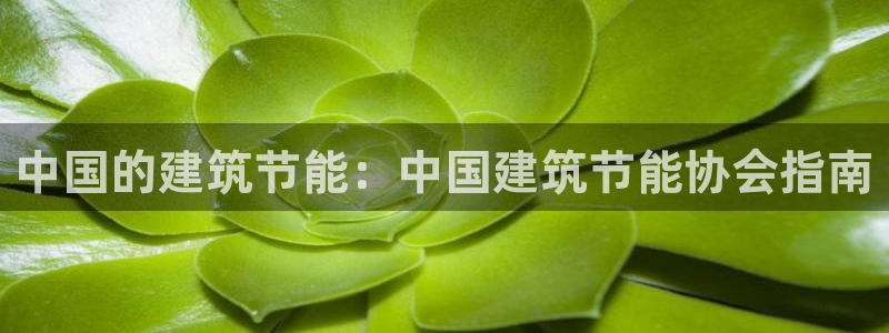 e尊国际-e尊国际官网：中国的建筑节能：中国建筑节能协会指南