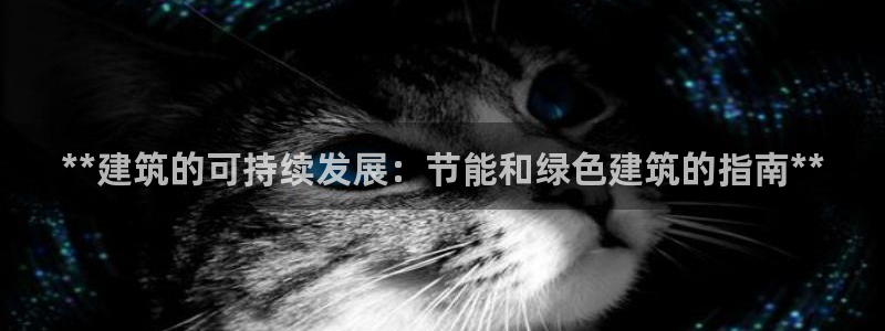 e尊国际平台：**建筑的可持续发展：节能和绿色建筑的指南**