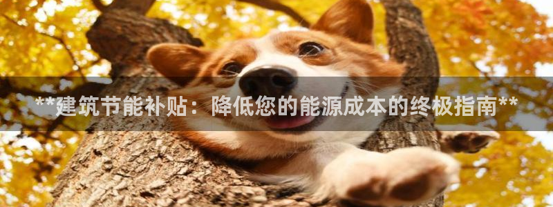 e尊国际娱乐官网地址：**建筑节能补贴：降低您的能源成本的终极指南**
