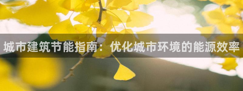 E尊国际：城市建筑节能指南：优化城市环境的能源效率