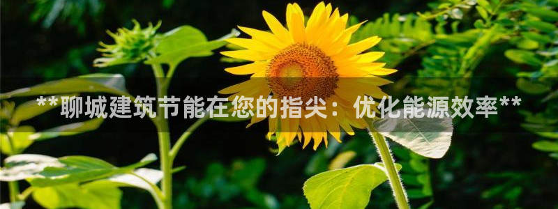 e尊国际-e尊国际官网：**聊城建筑节能在您的指尖：优化能源效率**