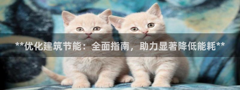 谁知道e尊国际的网址：**优化建筑节能：全面指南，助力显著降低能耗**