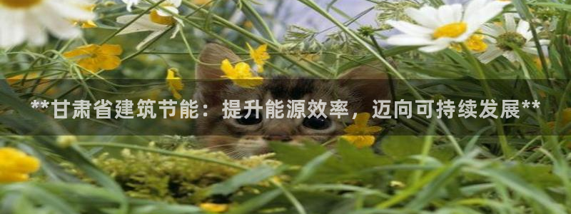 e尊国际平台：**甘肃省建筑节能：提升能源效率，迈向可持续发展**