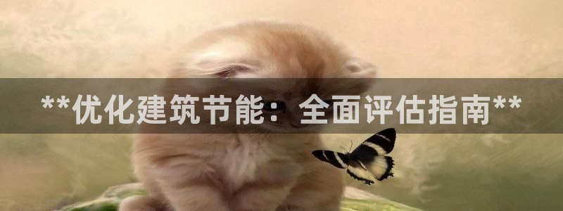E尊国际网站：**优化建筑节能：全面评估指南**