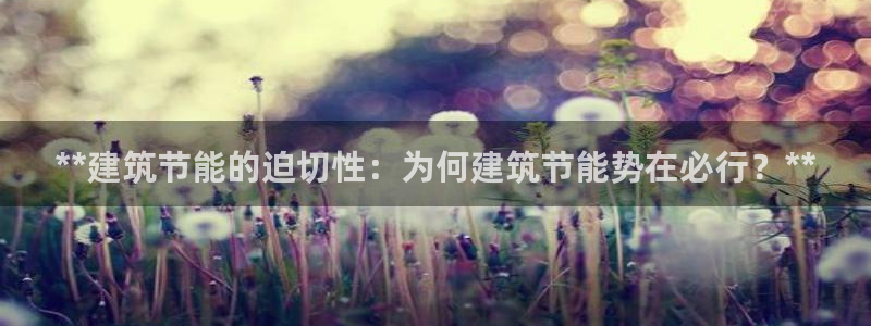 e尊国际平台