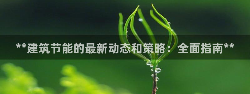 E尊国际网站：**建筑节能的最新动态和策略：全面指南**