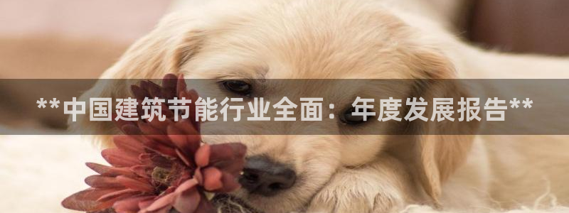 e尊国际app：**中国建筑节能行业全面：年度发展报告**
