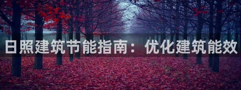 e尊国际网址：日照建筑节能指南：优化建筑能效