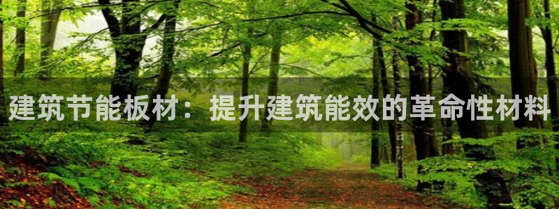 e尊国际娱乐官网地址：建筑节能板材：提升建筑能效的革命性材料