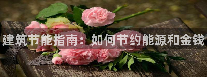 e尊国际官网·网址：建筑节能指南：如何节约能源和金钱