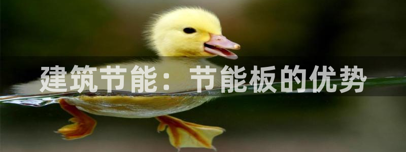 e尊国际app：建筑节能：节能板的优势