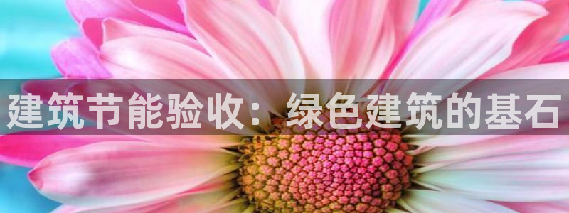 e尊国际是个黑网：建筑节能验收：绿色建筑的基石
