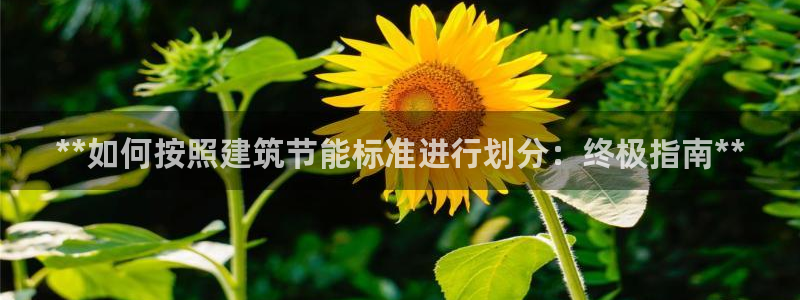 e尊国际官网app：**如何按照建筑节能标准进行划分：终极指南**