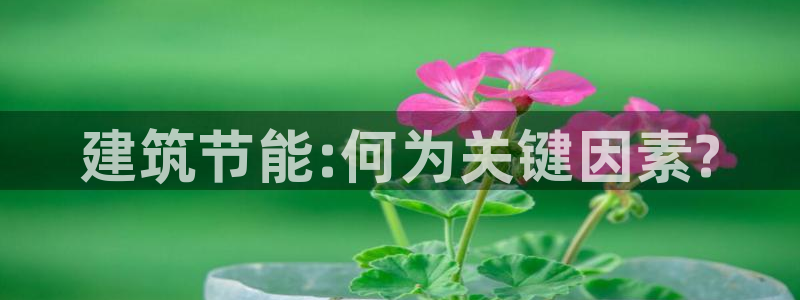 e尊国际娱乐官网下载：建筑节能:何为关键因素?