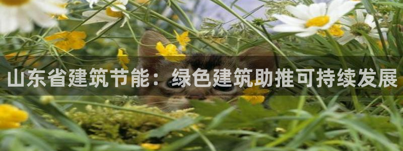 e尊国际是个黑网