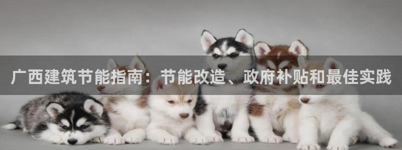 e尊国际app：广西建筑节能指南：节能改造、政府补贴和最佳实践