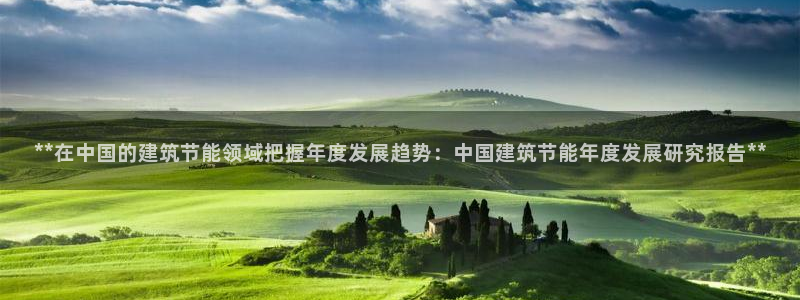 e尊国际-e尊国际官网：**在中国的建筑节能领域把握年度发展趋势：中国建筑节能年度发展研究报告**
