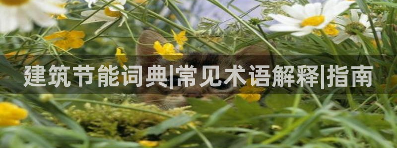 e尊国际客户端下载