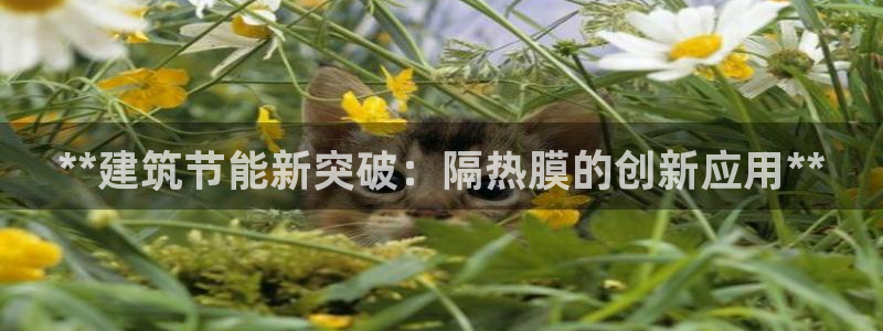 e尊国际官网：**建筑节能新突破：隔热膜的创新应用**