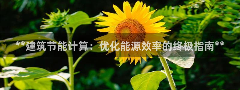 e尊国际官方网站：**建筑节能计算：优化能源效率的终极指南**