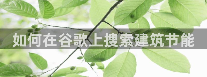 e尊国际app