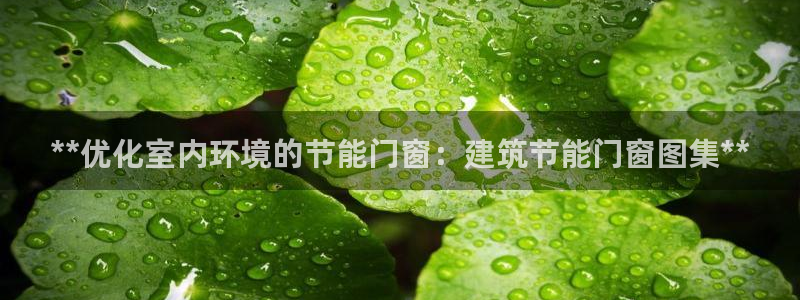 E尊国际网站：**优化室内环境的节能门窗：建筑节能门窗图集**