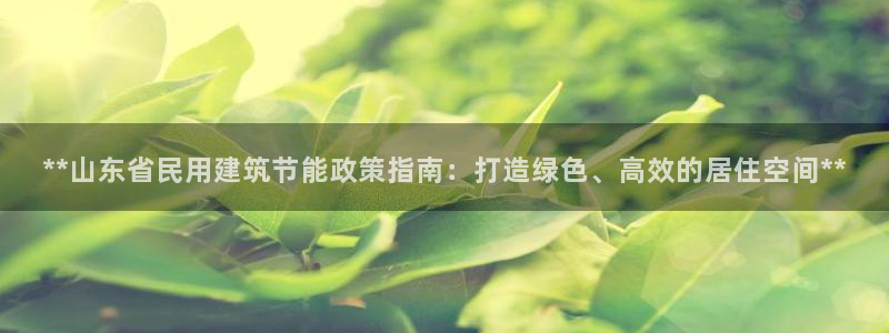 尊亿娱乐国际官网：**山东省民用建筑节能政策指南：打造绿色、高效的居住空间**