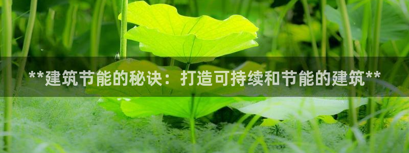 e尊国际官网·网址：**建筑节能的秘诀：打造可持续和节能的建筑**