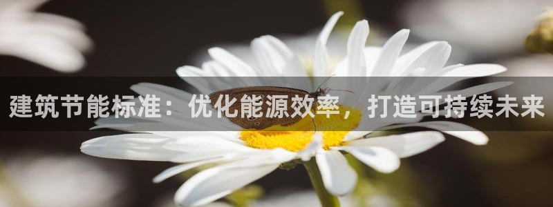 e尊国际平台：建筑节能标准：优化能源效率，打造可持续未来