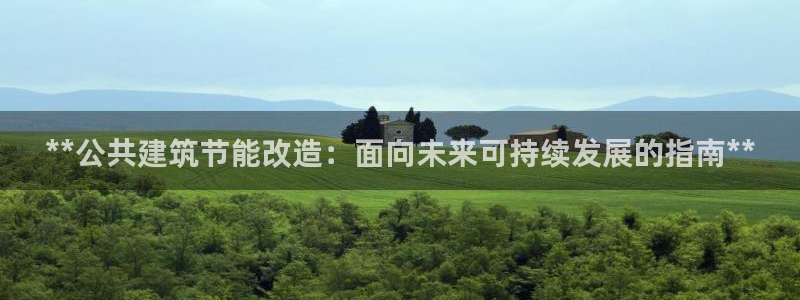 e尊国际客户端：**公共建筑节能改造：面向未来可持续发展的指南**