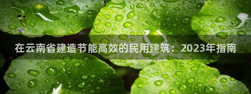 e尊国际平台：在云南省建造节能高效的民用建筑：2023年指南