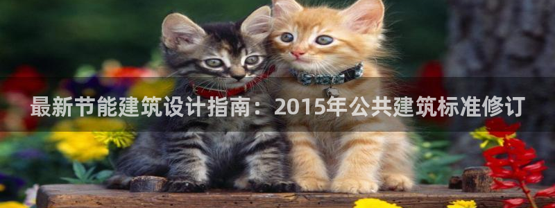 e尊国际-e尊国际官网：最新节能建筑设计指南：2015年公共建筑标准修订